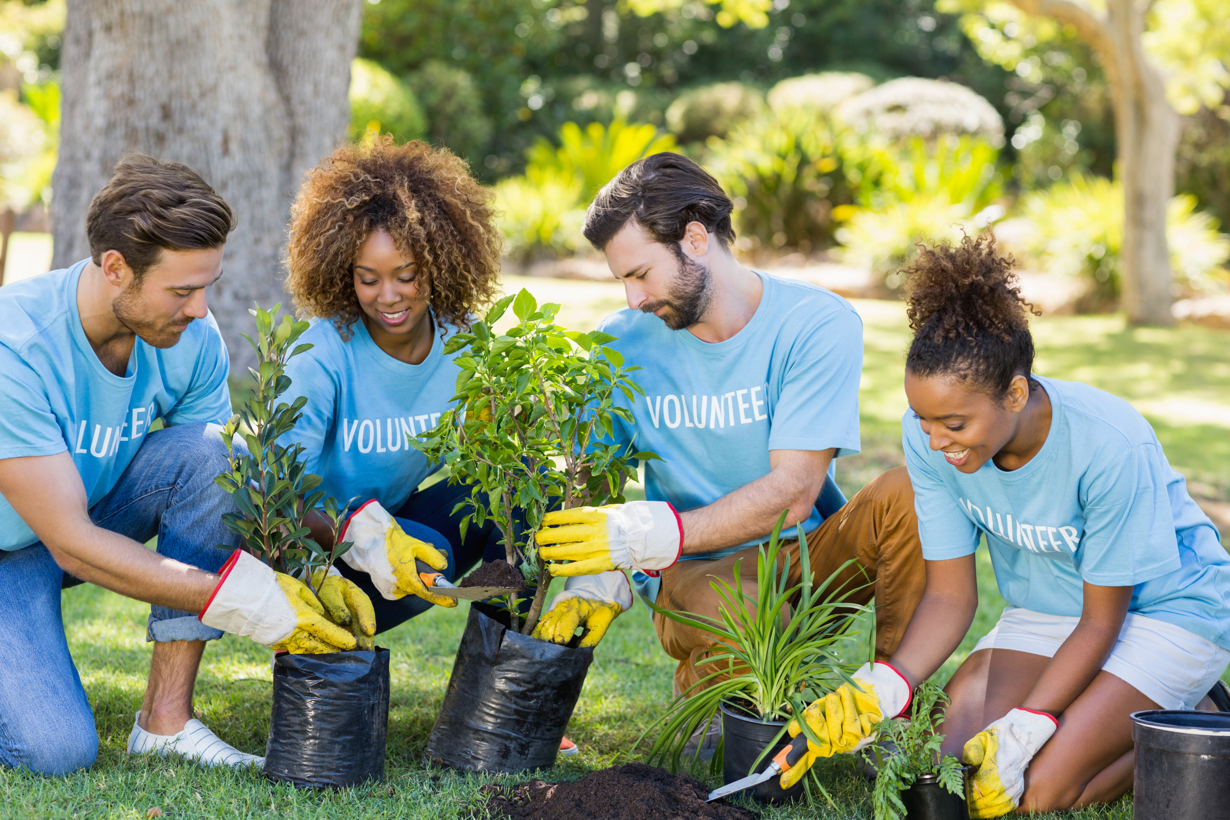 Group of Volunteers